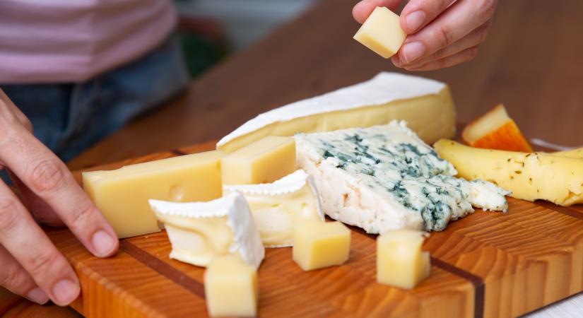 Mikrobiológiai szennyeződés miatt sajtokat hívtak vissza