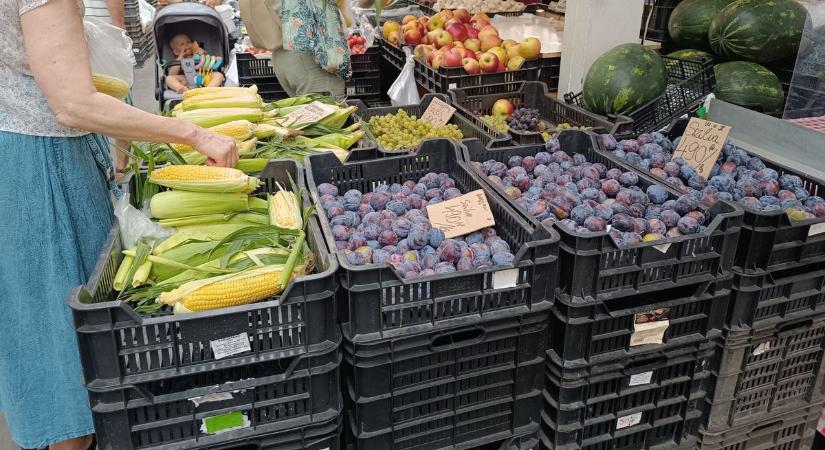 Még a szilva a sláger, de jó dinnyét is kapni: árakat is mutatunk a szolnoki piacról – galériával, videóval
