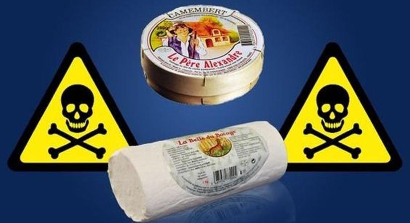 Ne egye meg, súlyos megbetegedést okozhat! Pasztőrözött tehén- és kecskesajtokat hívtak vissza Listeria baktérium miatt, amely halálos is lehet