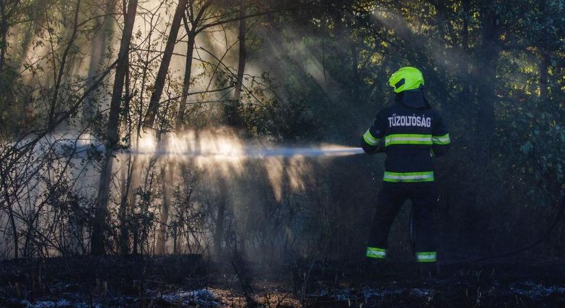 Lángok Miskolc határában, négy tűzoltóegység is a helyszínen