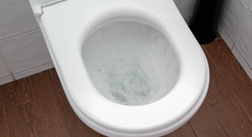 Nem ecet és nem szódabikarbóna: a vécé vízkőmentesítésében ez a filléres szer a legjobb