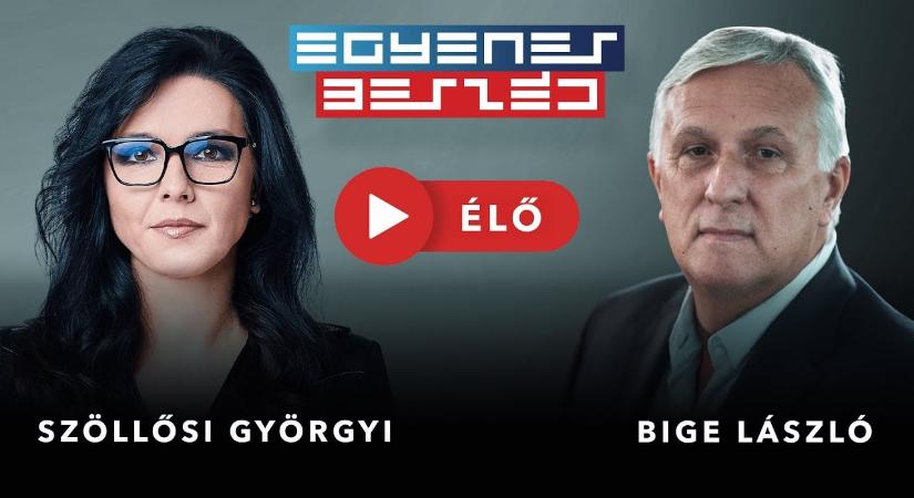 Bajban Bige László cége – élőben válaszol a vállalkozó