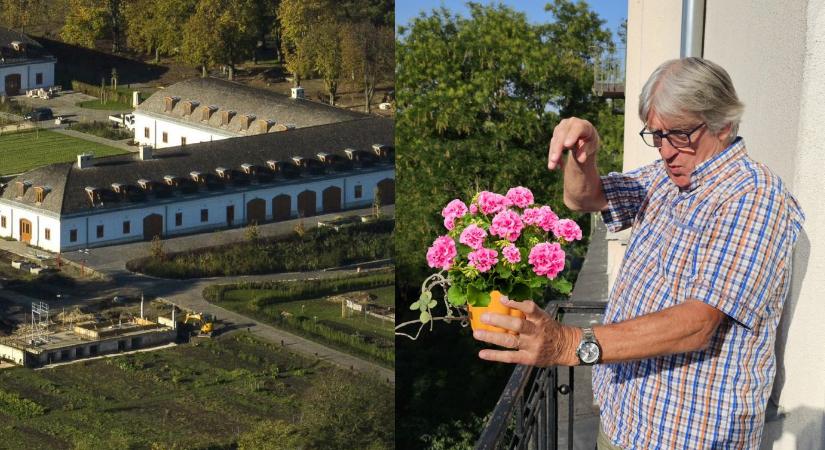 Kísérleti mezőgazdasági élet erkélyen és Hatvanpusztán - Rózsa Péter jegyzete