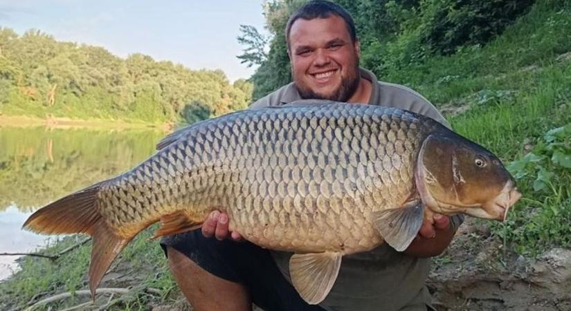Ez jobb, mint a mesében! Három óriási halat fogott a tiszai horgász, és ezzel minden kívánsága teljesült