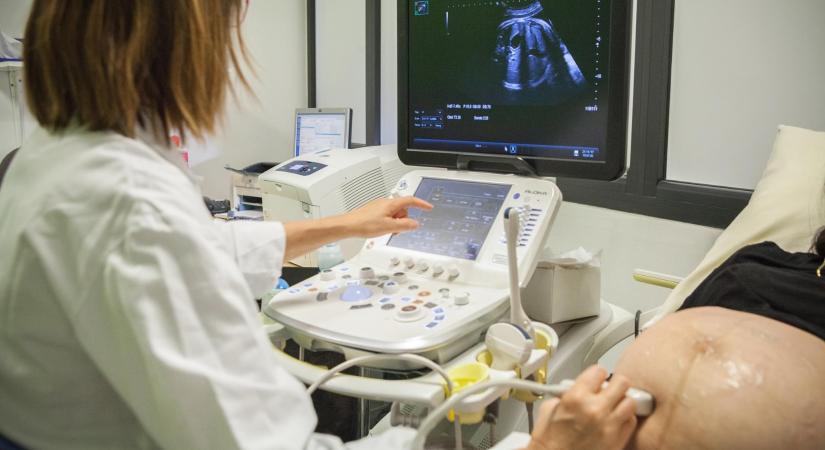 Jogviszonyváltás előnyei és veszélyei a csedre