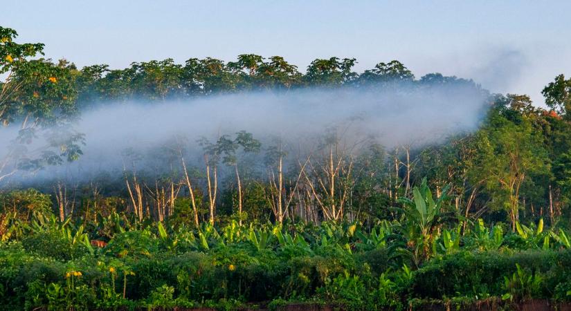 Elképesztő felfedezést tettek az Amazonas mélyén, évszázadokig hazudtak nekünk