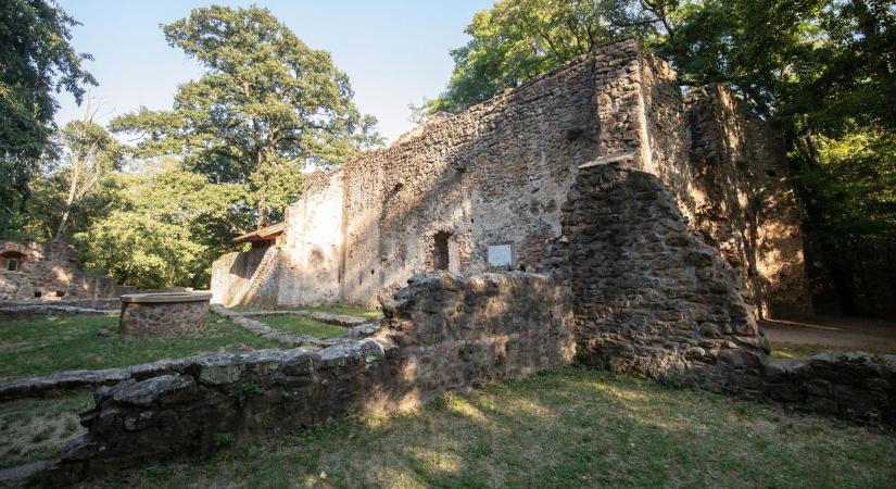 Misztikus rom bújik meg a Balaton-felvidéken – Fotókon a ma is hűs és méltóságteljes falak (galéria)