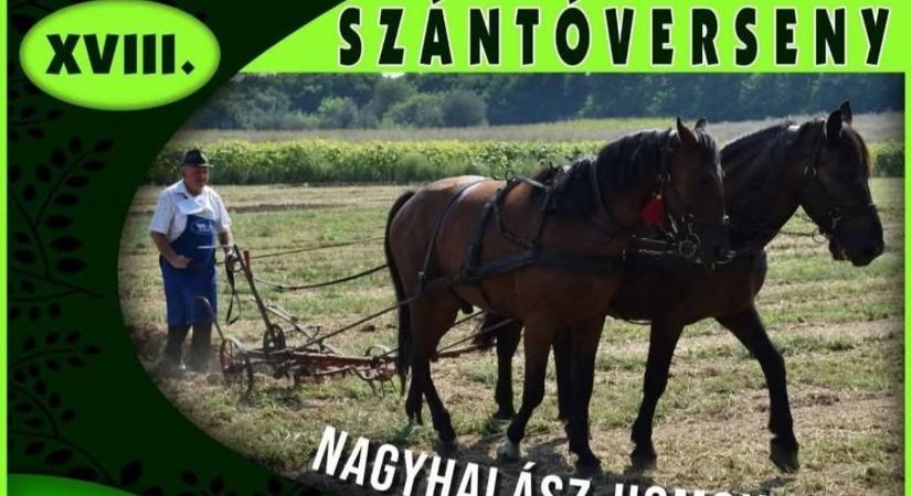 Ki lesz a parasztolimpia nyertese? Vasárnap kiderül vármegyénkben!