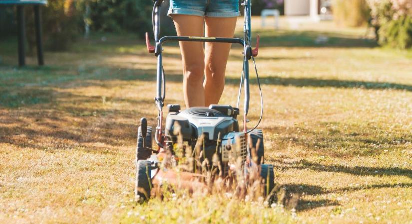 Idén sem a fűnyíró zaja zavarta a nyarat – az aszály elvégezte a gyepen a munkát