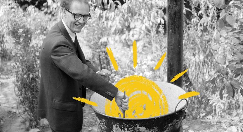 Nyerges Gábor Ádám: Kanalazott és nyelt (Részlet a Napnál világosabb című, készülő regényből – II.)