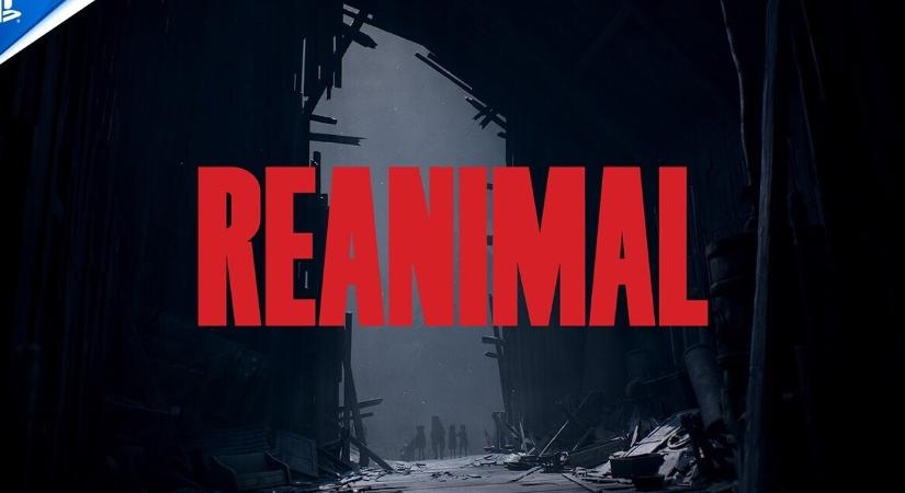 Így kezdődik a REANIMAL