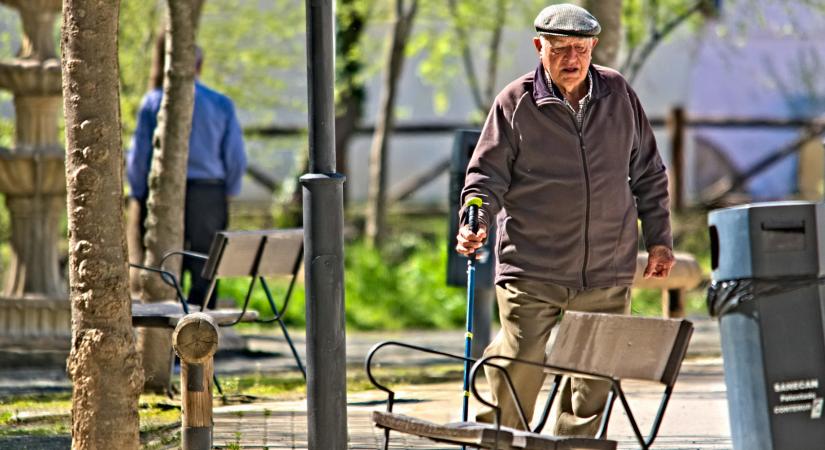 A nyugdíj mellett egyre többen így próbálnak pénzhez jutni