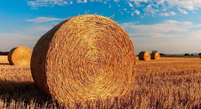 Most ne menj a 7-es felé! Nagykanizsa közelében lezárták a főutat