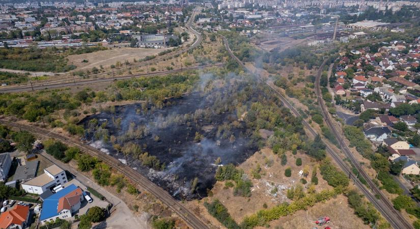 Megint lángra kapott az aljnövényzet Budapesten