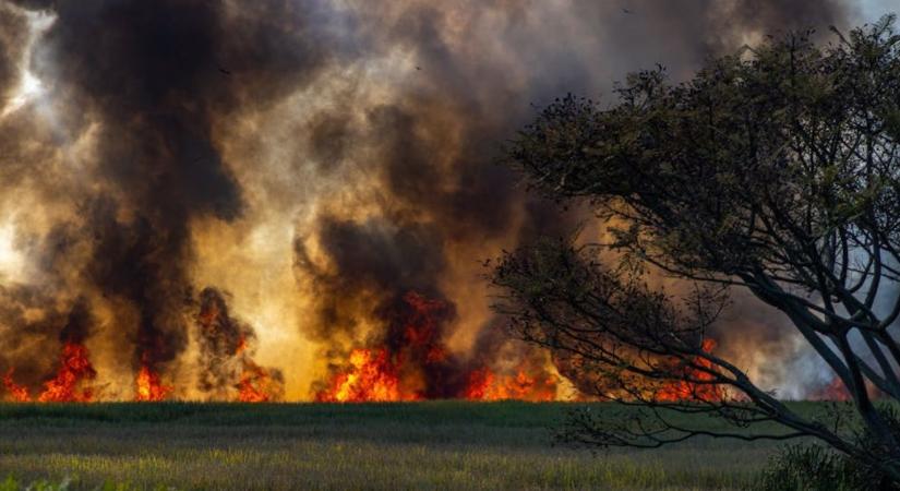 Rénszarvasok pusztulnak, erdők lángolnak – Európa két végén tombol a klímakatasztrófa