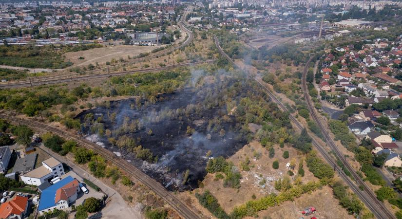 Öt hektáron égett le az aljnövényzet Zugló és Rákospalota határán