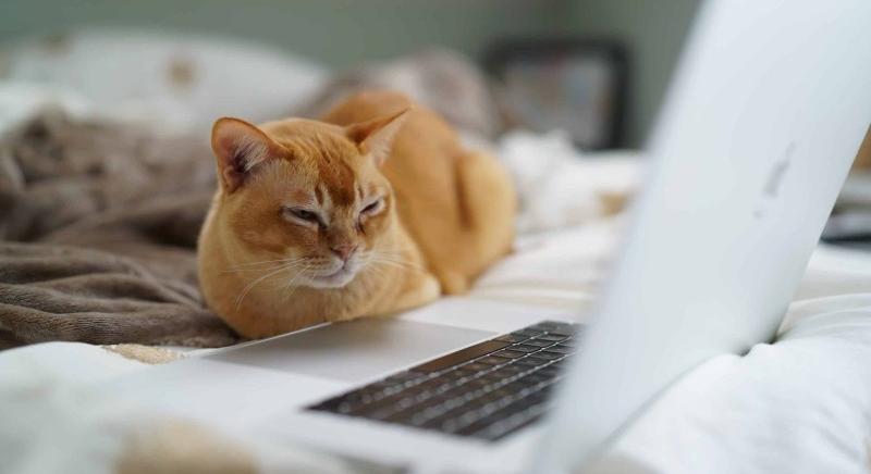Oroszországban is célkeresztbe került a digitális szabadság