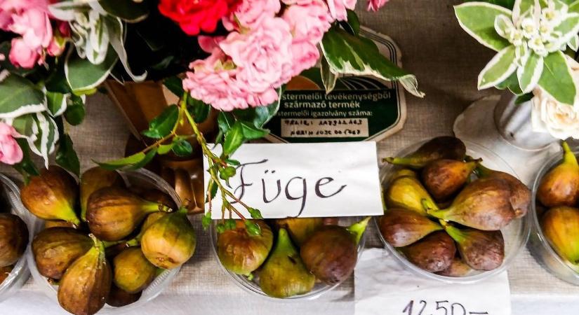 Fügelekvár, fügés süti és minden, ami füge – így készítsd el otthon egyszerűen!