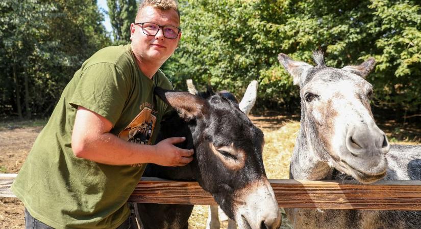 Megnyitott a szamárfarm, Patrik álma valóra vált - fotók