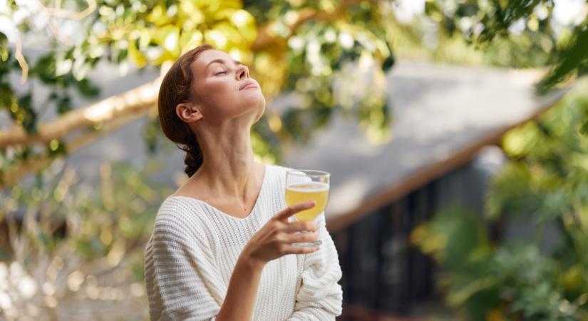 Probiotikum-bomba vagy placebo? Utánajártunk a kombucha titkának