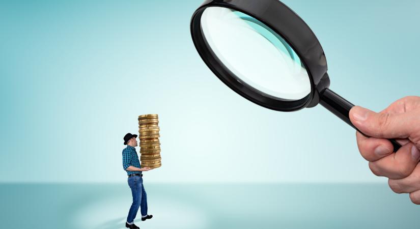 Dugulással foglalkozott, aztán jött a NAV, és most 20 milliót keresnek rajta