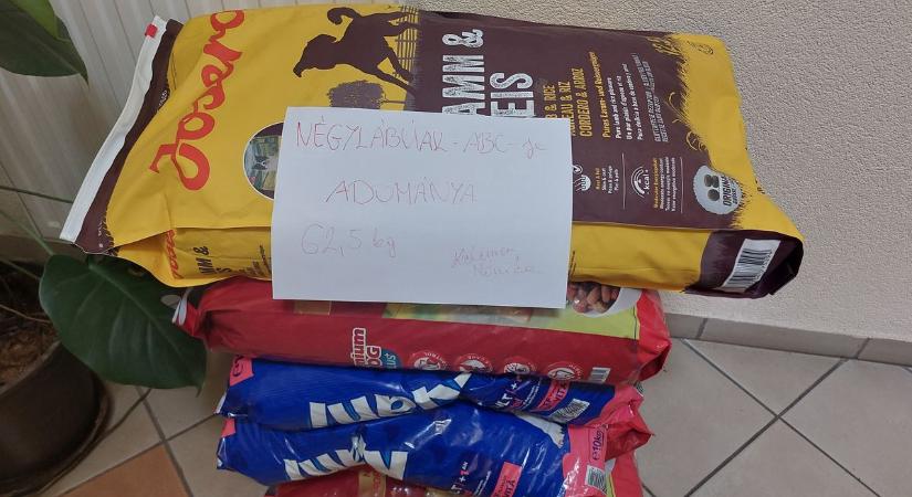 Négylábúak ABC-je: ahol az állatszeretet nemcsak a polcokon, hanem a szívekben is ott van