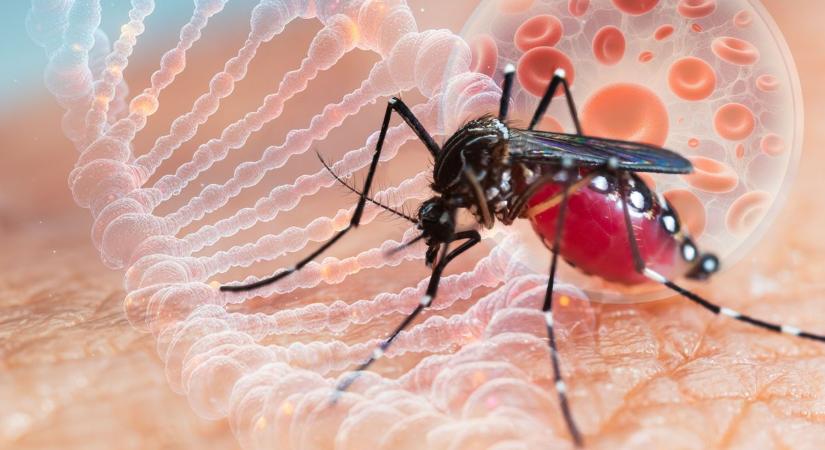 Új véradási protokoll lép életbe, így védik a veszélyes fertőzés ellen az embereket