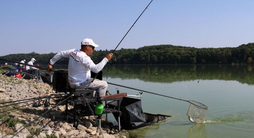 Százával húzták ki a pontyokat a Desedából a hőségben