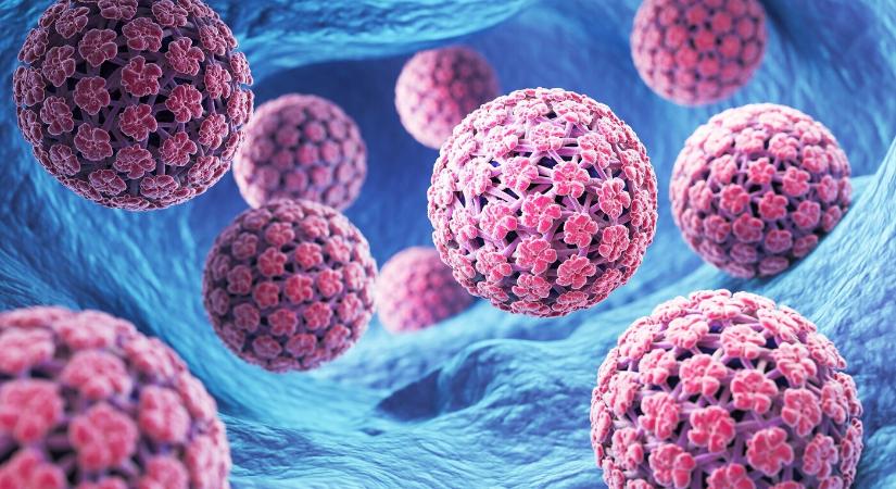 A HPV nemcsak szexuális úton terjed, a megelőzés kulcsa az oltás