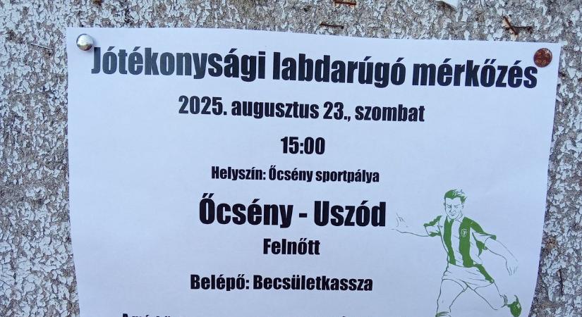 A daganatos betegséggel küzdő Ricsikének gyűjtenek Őcsényben