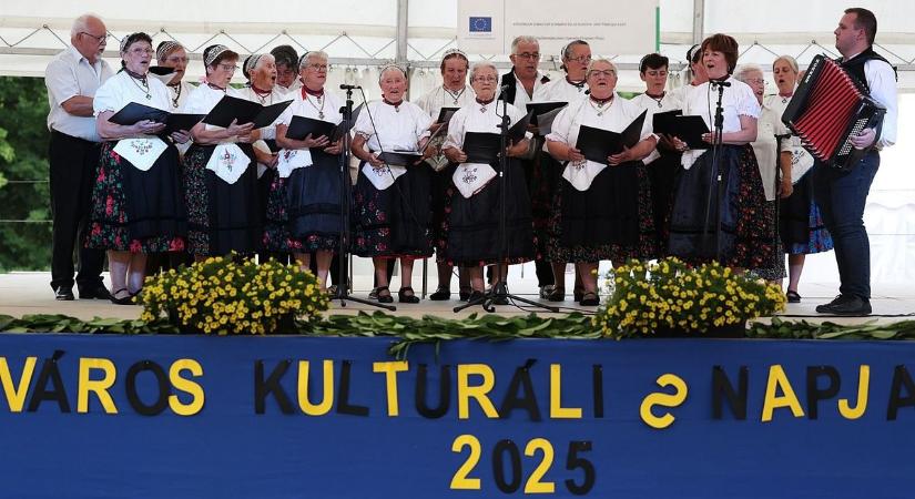 Díszpolgárrá avatták Hajós első polgármesterét, Schőn Ferencet – galériával
