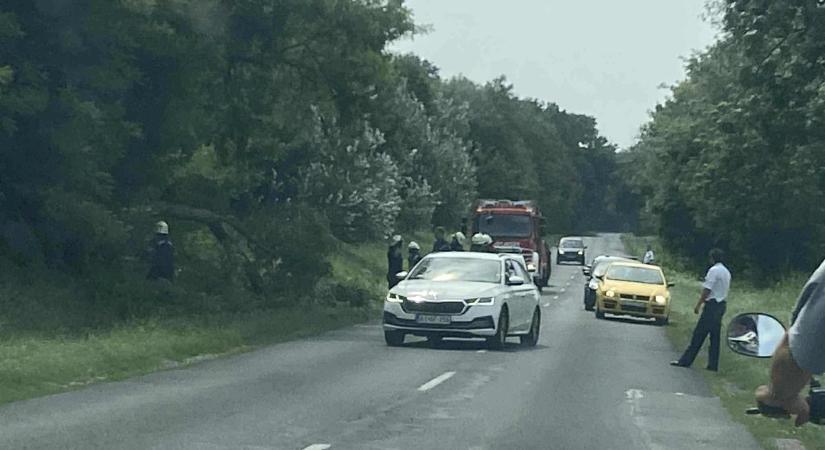 Félpályán halad a forgalom Mike és Lábod között