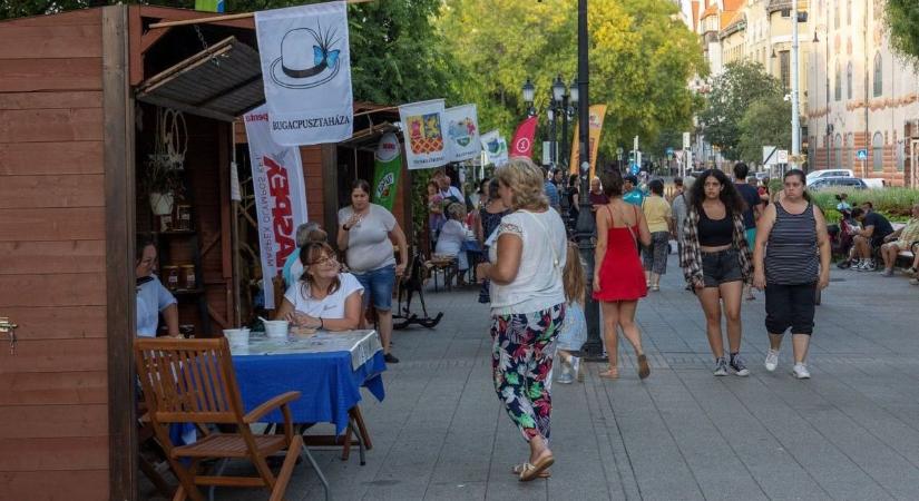 Kékfestéstől a grillázs remekeken át a búvárbirodalomig programok sokaságával készül Kecskemét