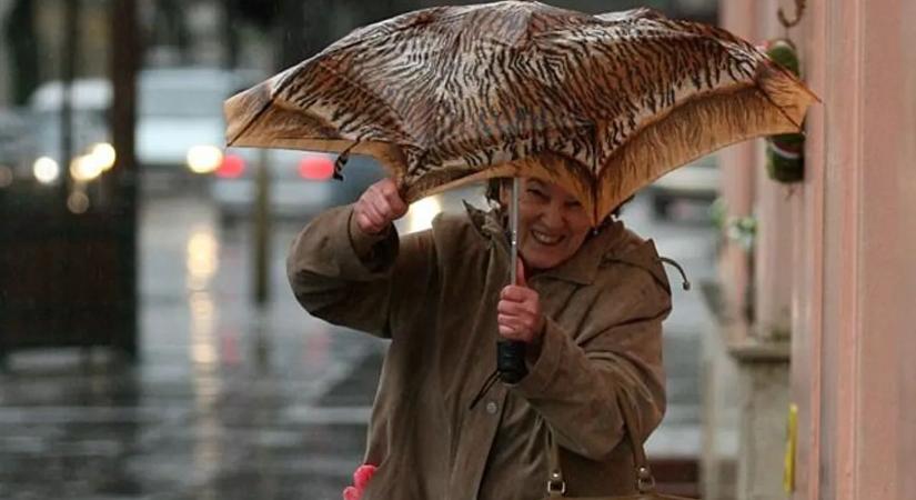 Keressük elő a gardróbból, hétfőn este már újra elkelhet a kardigán