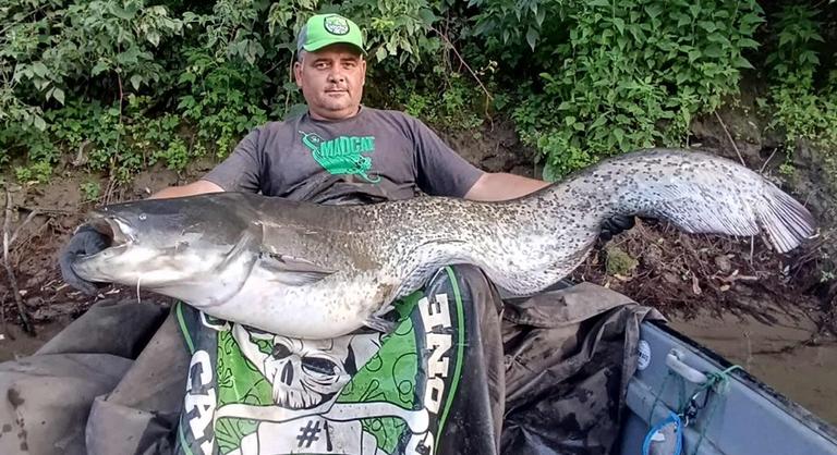 Emberméretű fenevadakat fogott ki két horgász a Tiszán