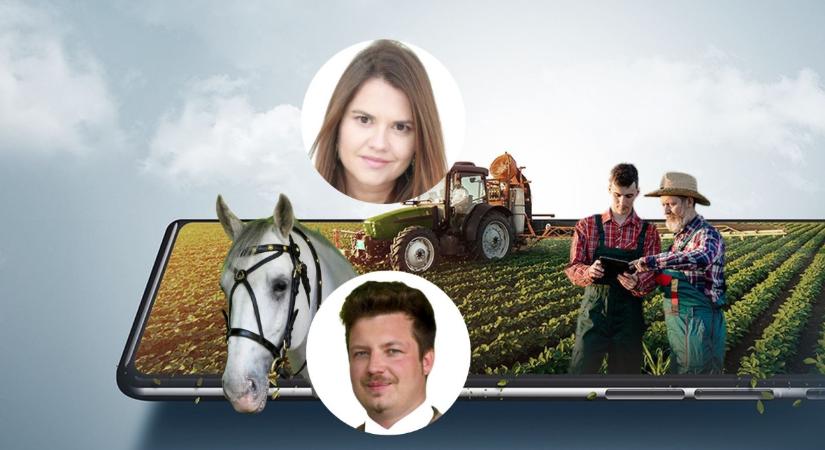 Ezért kincs az agráradat LI. rész: Cseri Dávid, akit a lovak és a történelem szeretete vezetett Szilvásváradra