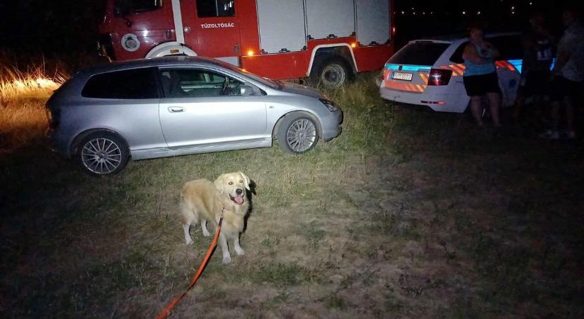 A Hope Egyesület kutyái órákig követték a nyomokat – szomorú hírt hozott a keresés