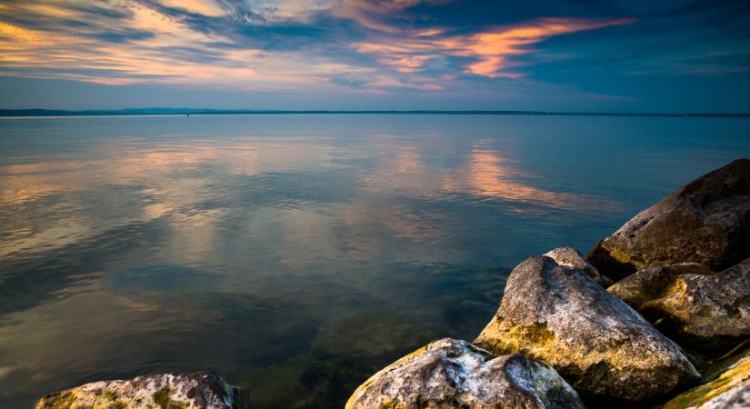 Élnek veszélyes állatok a Balatonban, amik meg tudnak harapni, vagy csípni?