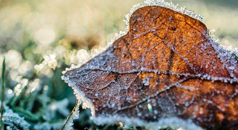 Hatalmas hideg tart felénk – Megérkeztek a vészjósló jelek