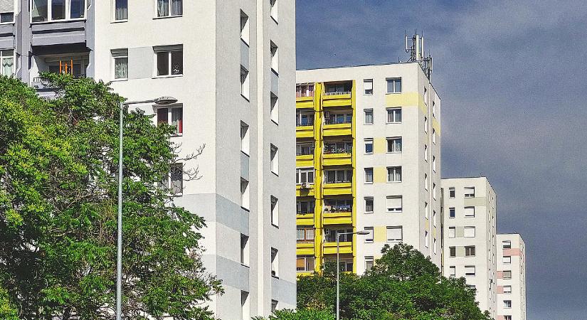 Szeptembertől jöhet a panelboom, pillanatok alatt elkelhetnek a lakások
