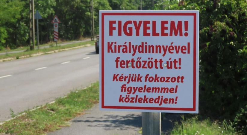 Királydinnye a kerékpárutak réme – Tábla van, megoldás nincs
