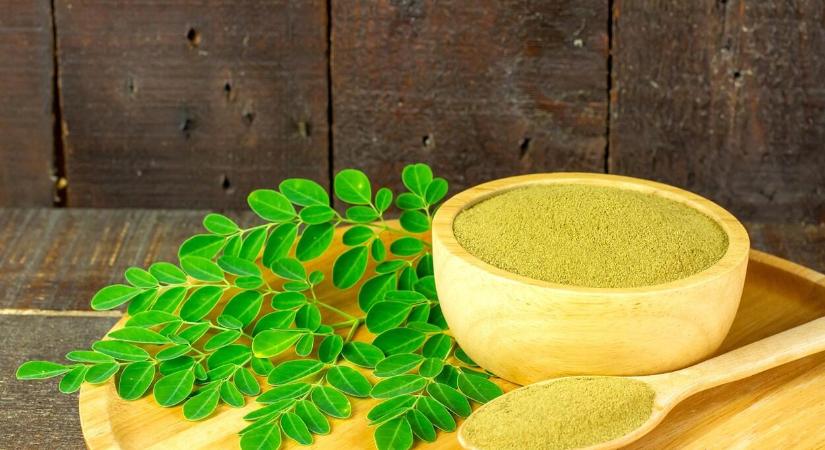 Egy értékes gyógynövény: a moringa