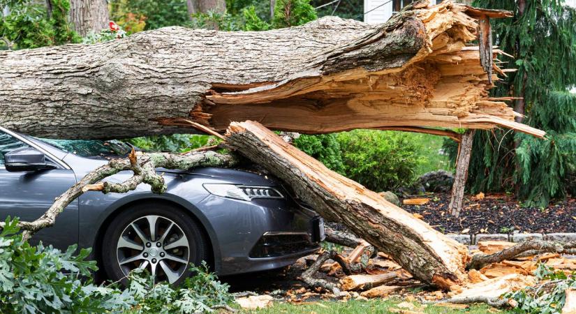 Hatalmas fa dőlt rá egy parkoló autóra, lángba borult az erdő az autópálya közelében