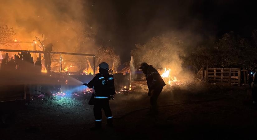 Állatok menekültek Újszászon a tűz elől