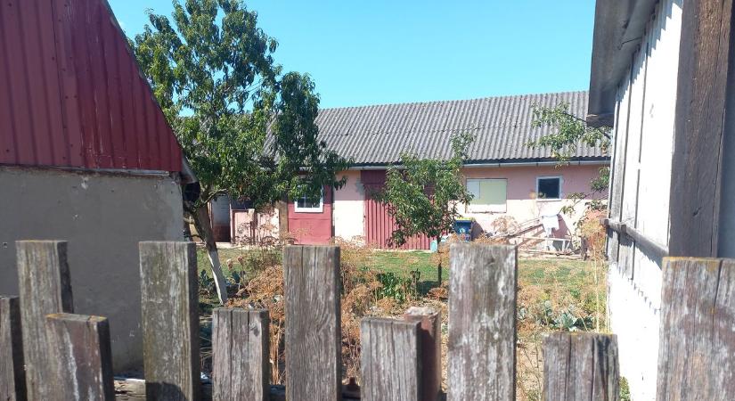 "Elképzelni sem lehet ezt a borzalmat..." – Felgyújtotta a feleségét Tivadaron, a szomszédokat sokkolta a látvány! (helyszíni fotók)