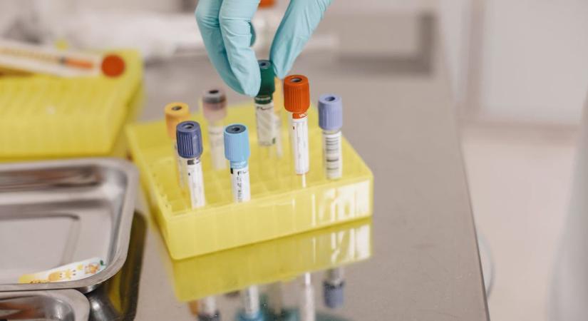 Terjed az új himlőmutáns: járványhullám söpörhet végig Európán