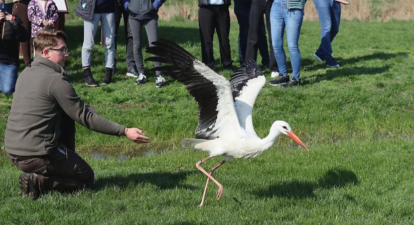 Világrekordra készülnek a Hortobágyon, és mi is részesei lehetünk
