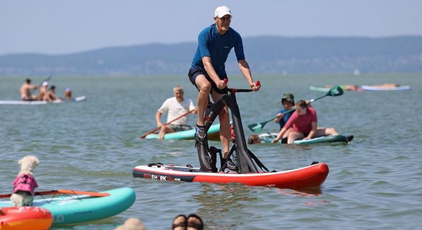 Ezúttal Badacsonynál tűnt fel a vörös cápa a Balatonban