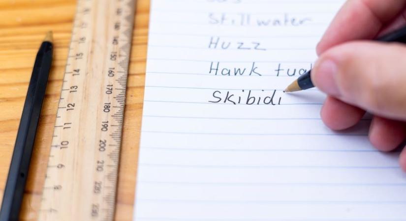 Delulu, tradwife és broligarchia – ezek a friss szavak kerültek a Cambridge szótárába