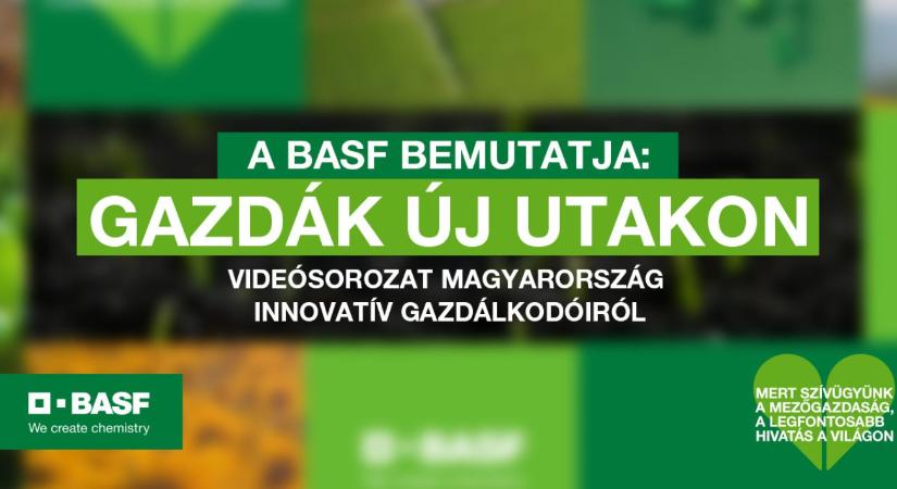 Mit tanulhatunk a magyar gazdáktól? A BASF videósorozata válaszol
